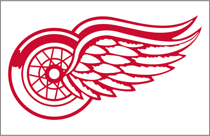 Detroit Red Wings 1972-1982 Jersey Logo t shirts DIY iron ons